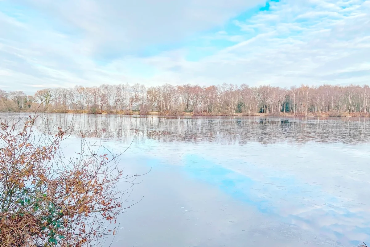A tranquil lake surrounded by trees.