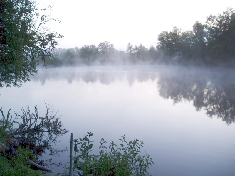 A tranquil lake surrounded by trees.