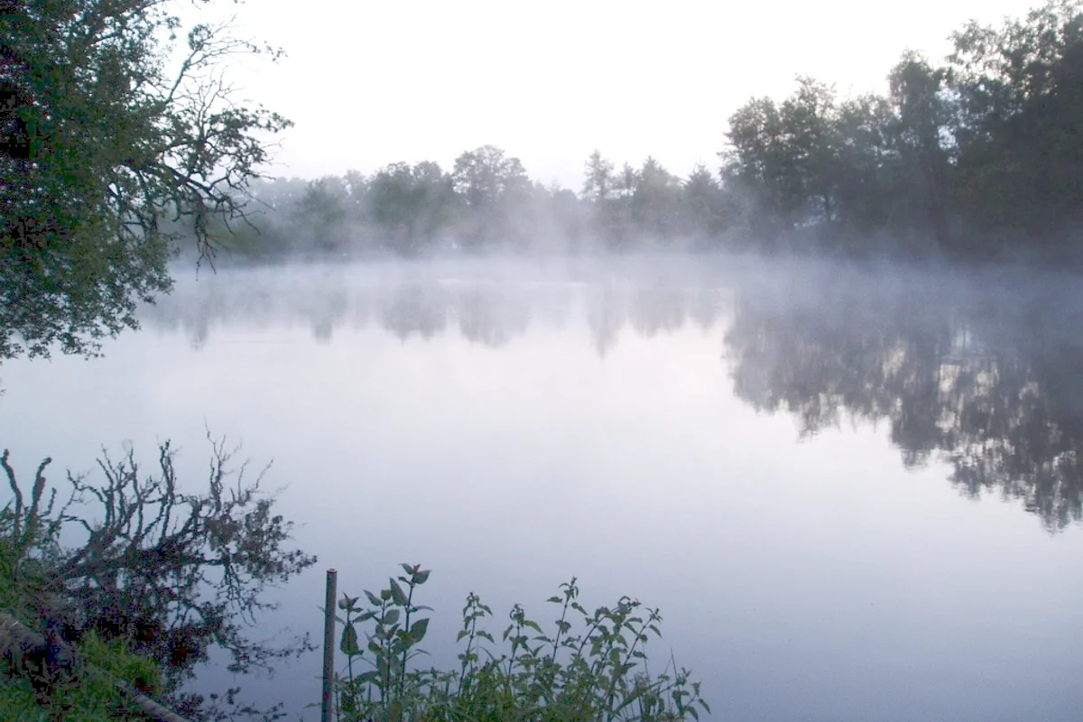 A tranquil lake surrounded by trees.