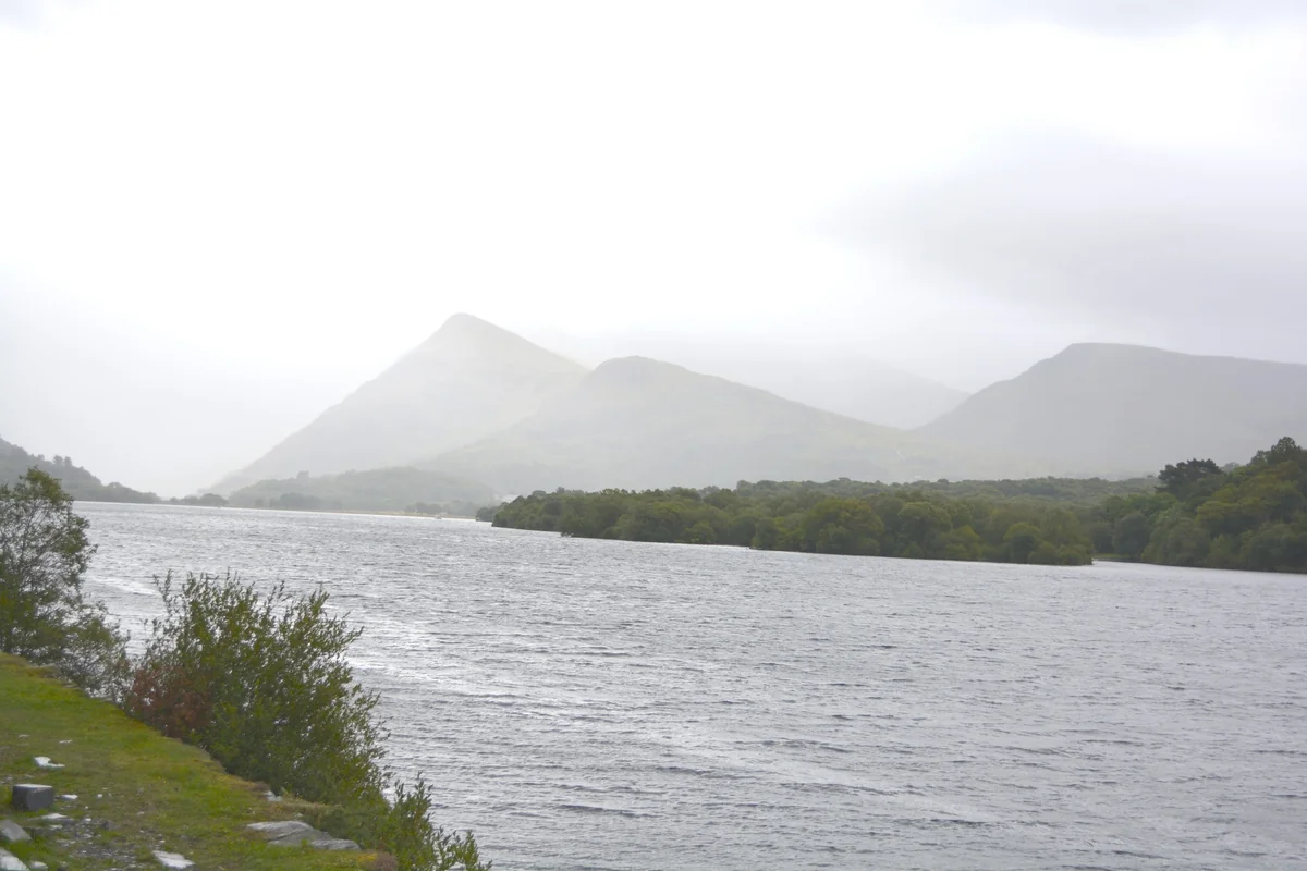 A tranquil lake surrounded by trees.
