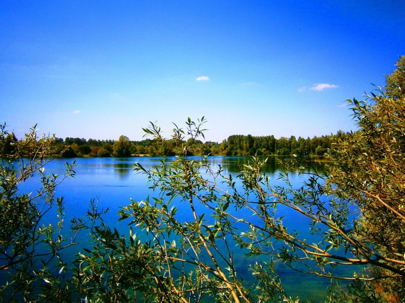 Attila Lake at Abbey Lakes France, an 18-acre overstocked specimen water with 4 different 60lb+ fish.