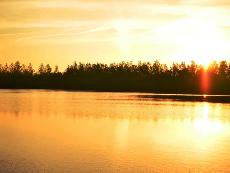 Fox Lake at Abbey Lakes France, a 25-acre specimen carp water with fish up to 70lb+.
