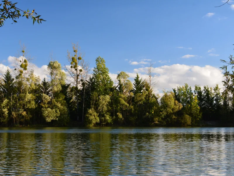 Frog Lake at Abbey Lakes France, a 4-acre intimate lake perfect for surface fishing with floaters.