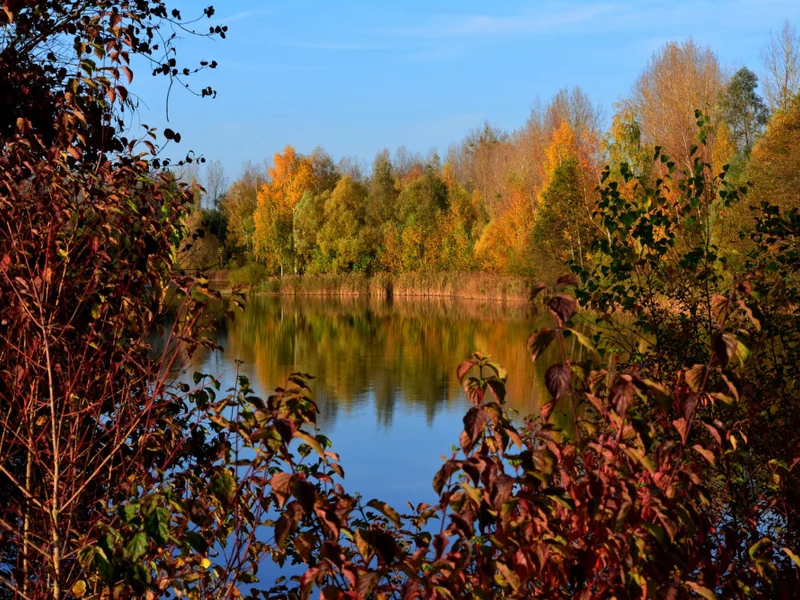 Wild Boar Lake at Abbey Lakes France, a 14-acre lake with sand, gravel and silt bottom perfect for all-round anglers.