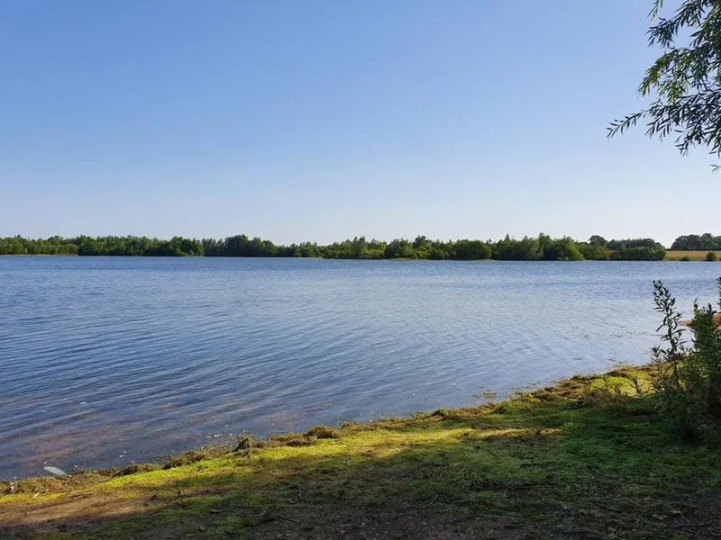 An aerial view of the picturesque Broom Lake in Bedfordshire, showing its islands and clear water.