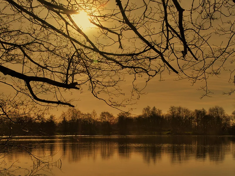 The legendary Church Lake at Horton, home to some of the UK's most famous carp.