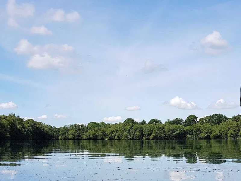 A panoramic view of Sandhurst Lake, a challenging specimen carp water in Yateley.