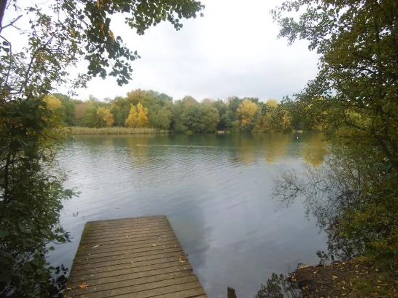 A scenic view of White Swan Lake at Dinton Pastures, a renowned carp fishing venue in Berkshire.