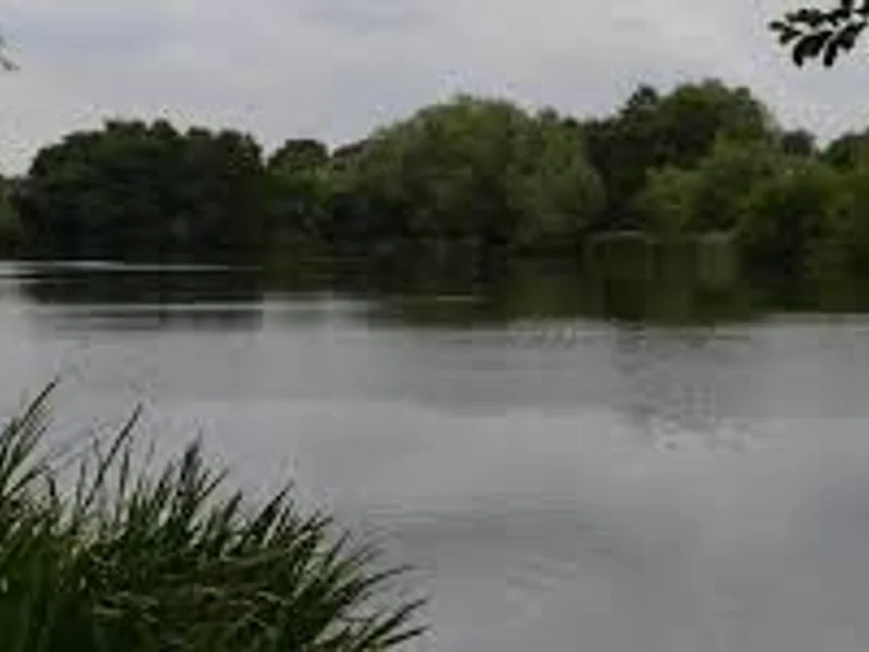 A scenic view of Kingfisher Lake at Waterside Fishery, showing the central island.