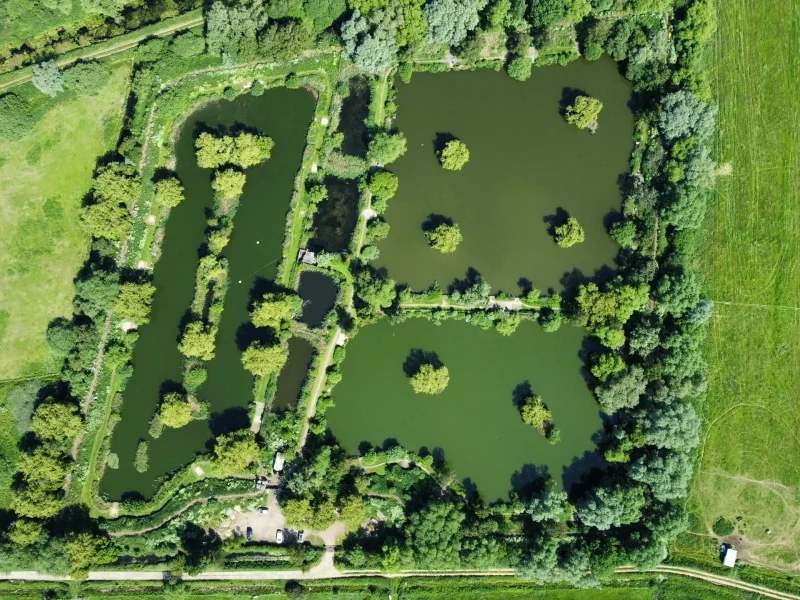 A scenic view of Front Lake at East Delph Lakes, a premier day-ticket carp fishing venue in Cambridgeshire.