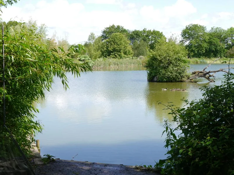 A scenic view of the Island Carp Lake at Furzebray Lakes in Devon.