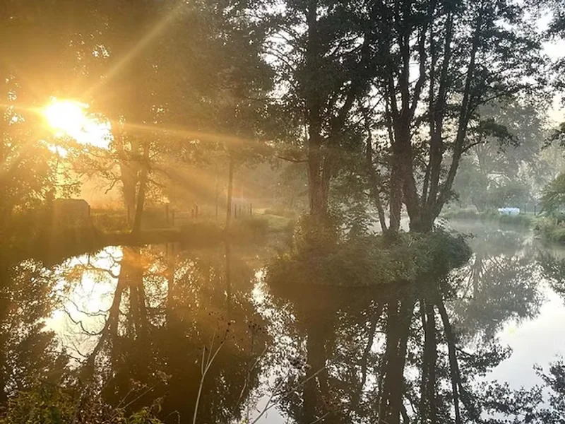 A scenic view of Kingfisher Pool at the Bugley Pools fishery in Dorset.