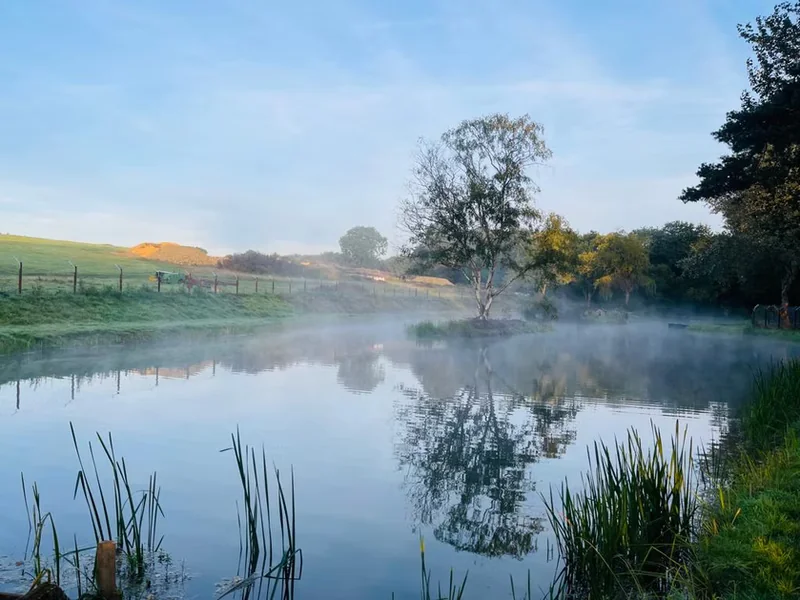 Action shot from a swim at Mallard Pool, part of the Bugley Pools complex in Dorset.