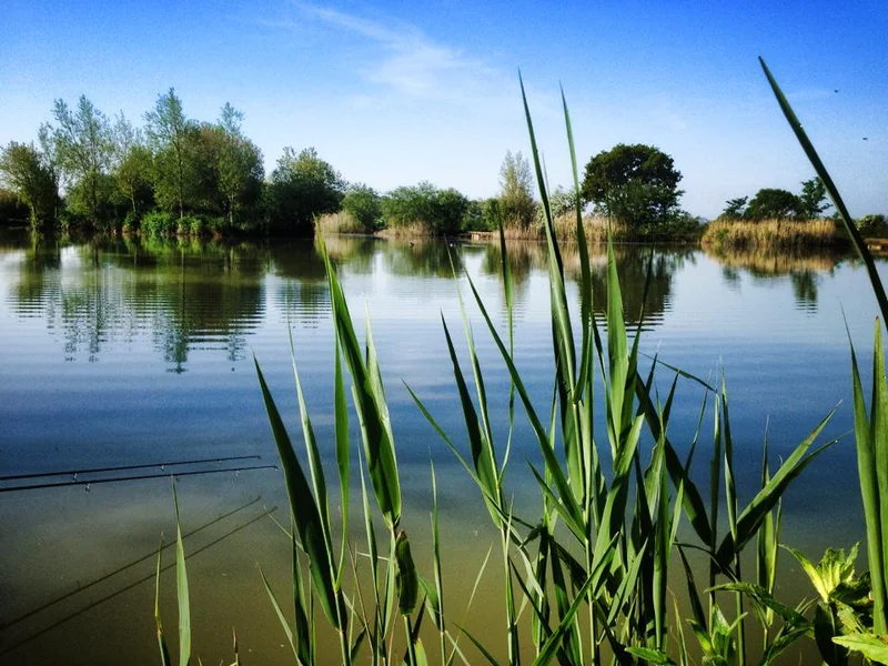 An angler's view across Wadmill Lake at Todber Manor Fisheries.
