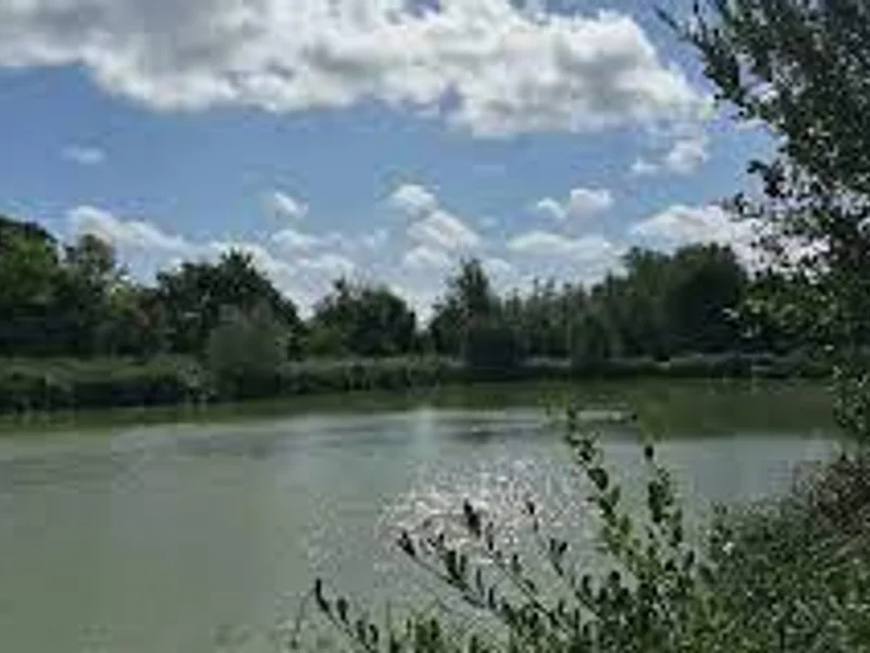 A scenic view of Willow Bank Specimen Lake at Todber Manor Fisheries.