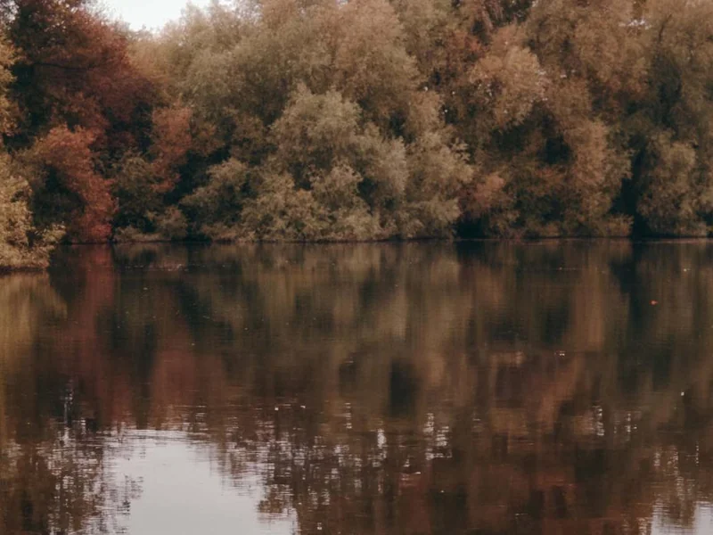 Scout Lake at Horcott Lakes, a 9-acre carp fishing lake in the Cotswolds perfect for social fishing.