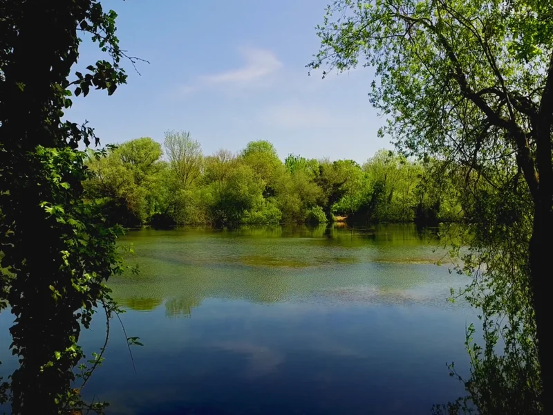Tench Lake at Horcott Lakes, a 3-acre specialist tench water with fish up to 11lb and some carp to mid-twenties.