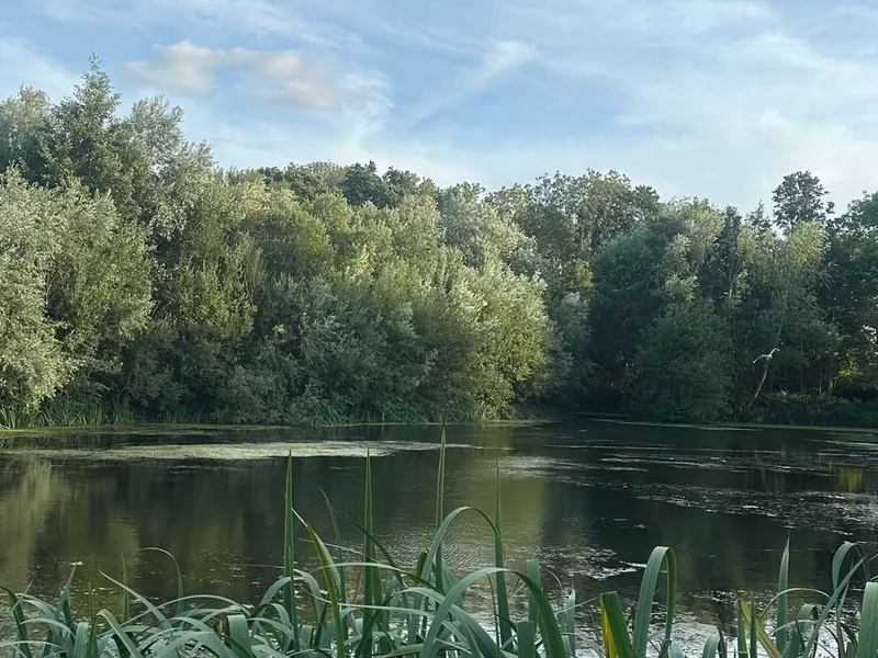 A scenic view of Basil Lake at the Darenth Fishing Complex in Kent, a renowned specimen carp water.