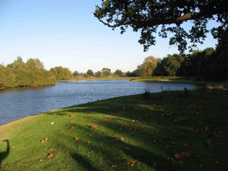 A scenic view of Devon Road Lake, a DDAPS carp fishing venue in Kent.