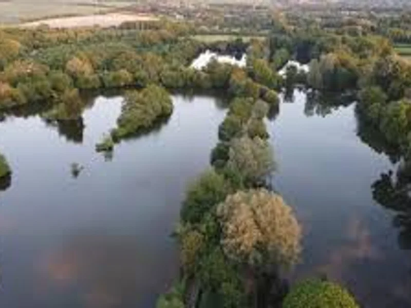 A scenic view of Lake One (Mason's Lake) at the Mason Darenth Fishing Complex, a premier specimen carp water in Kent.