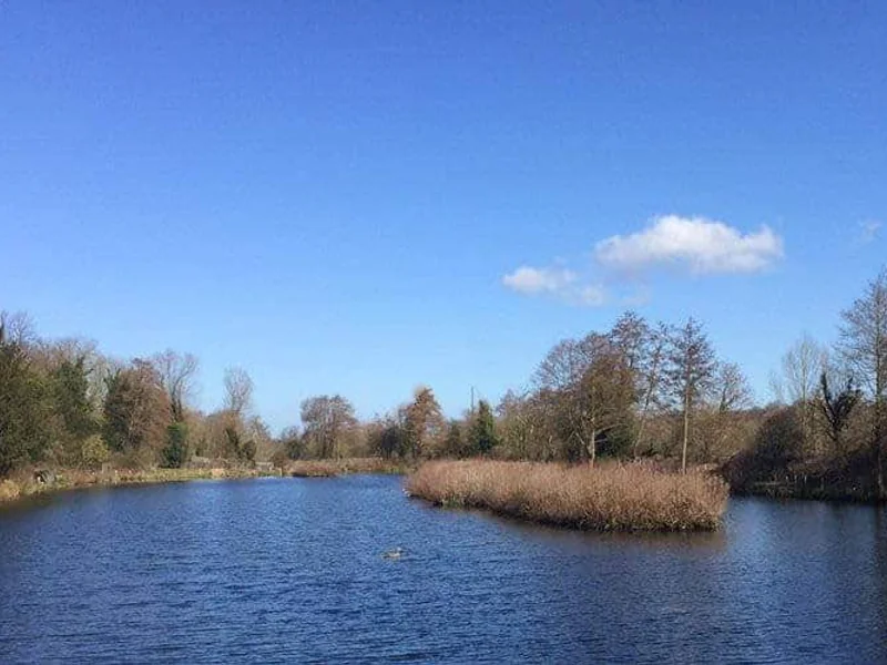 A scenic view of Steve's Lake at the Darenth Fishing Complex