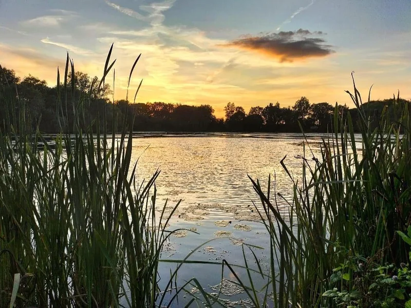 A tranquil view of Willow Lake in Kent, a mature gravel pit for carp fishing.