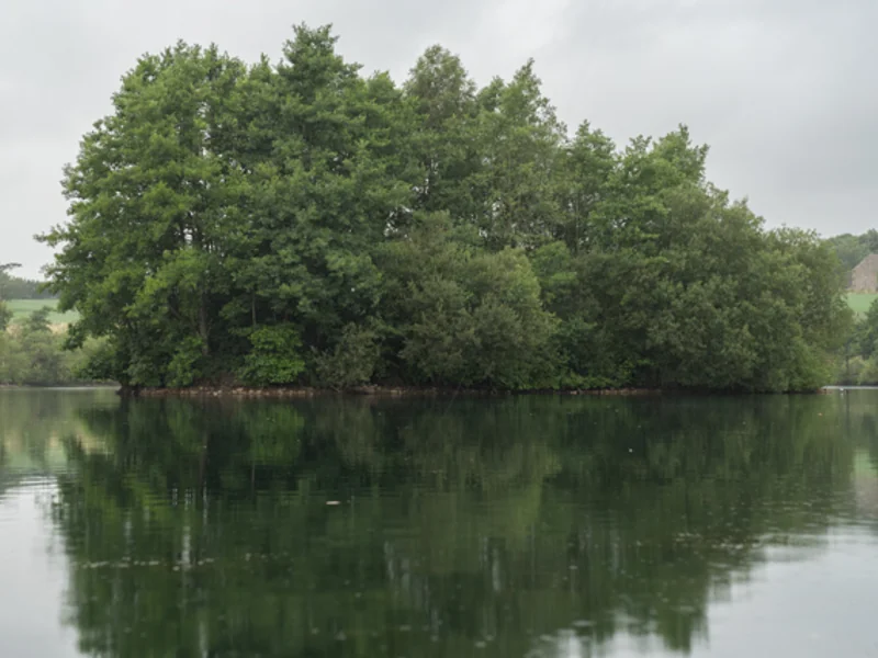 An angler holding a large common carp on the bank of Bantons Lake at Wyreside Lakes