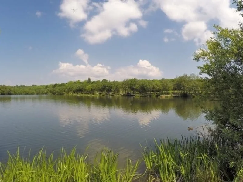 Anglers fishing at Wyre Lake, a premier specimen carp water at Wyreside Lakes Fishery in Lancashire.
