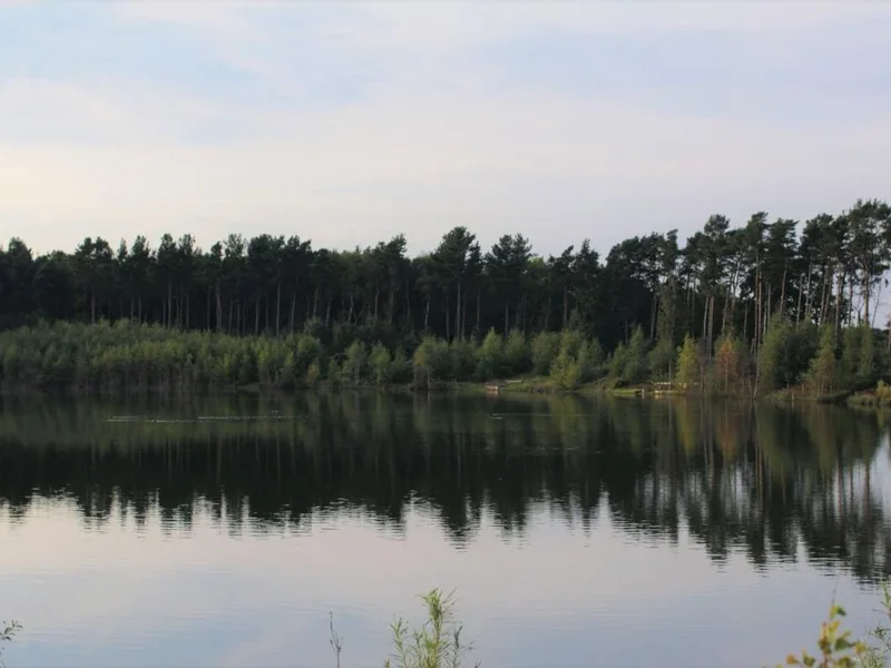 A scenic view across Holdens Lake at the Norton Disney fishery showing mature carp habitat.