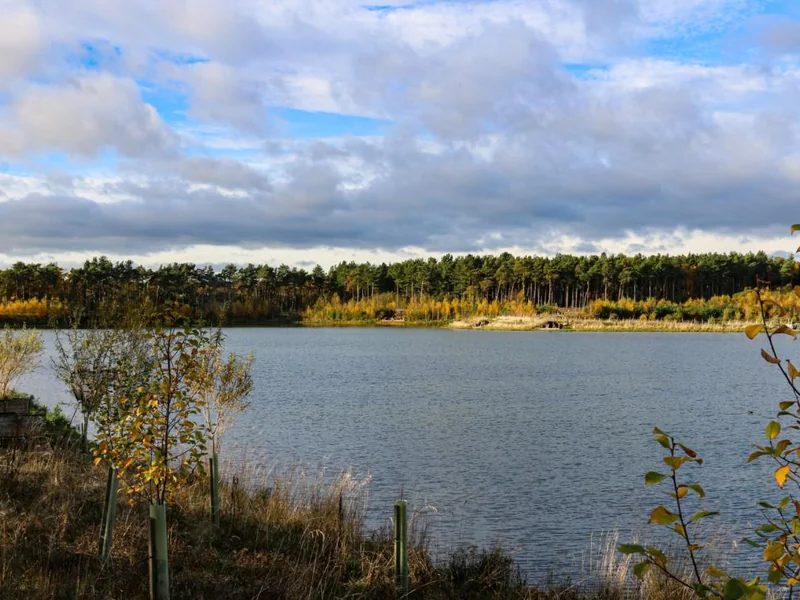 A scenic view across Turners Lake at the Norton Disney fishery showing the perfect beginners water.