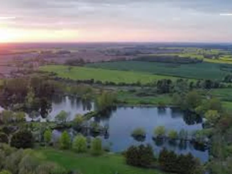 A scenic view of Coston Lakes Day Ticket Lake in Norfolk