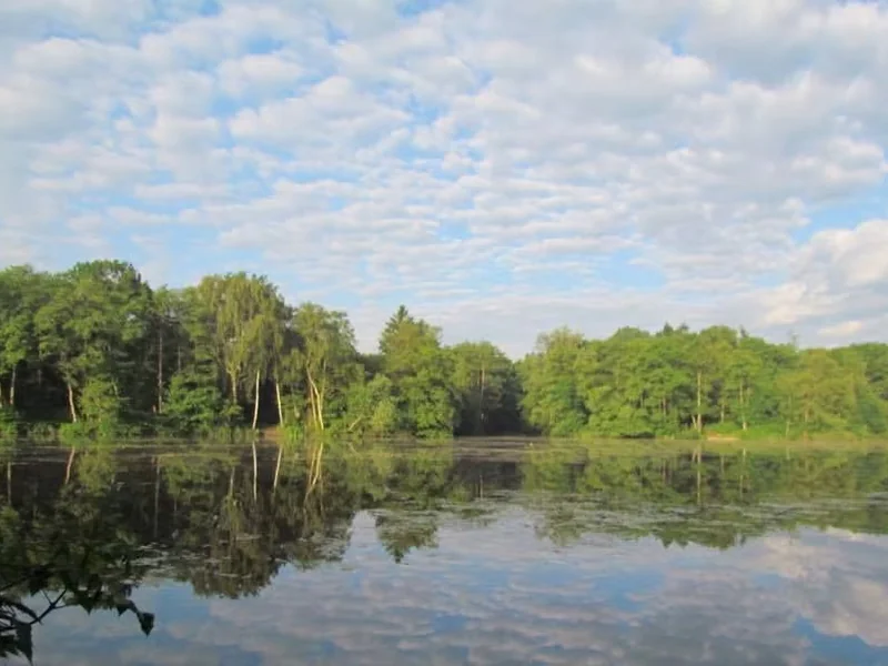 Taverham Mill, a historic and picturesque fishery in the heart of Norfolk.
