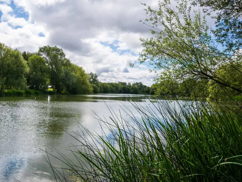 A picturesque, tree-lined view of Bluebell Lake.