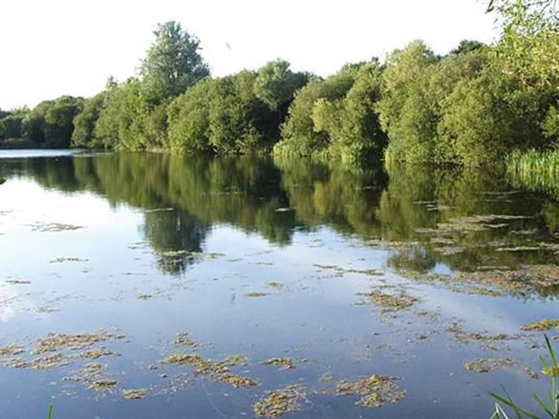 Elsons Lake at Stanwick Lakes, a popular day-ticket carp venue in Northamptonshire.