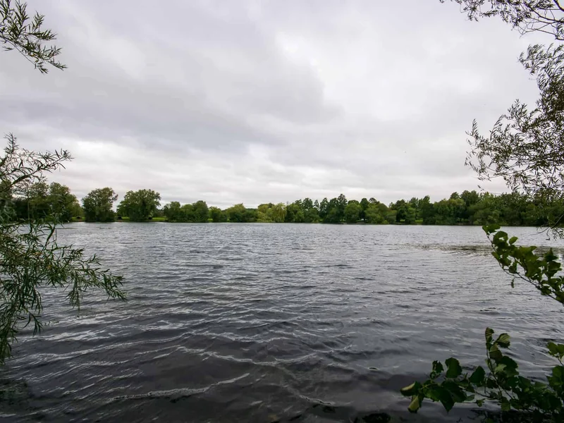 A view of the famous Kingfisher Lake at Bluebell Lakes, former home of the legendary carp 'Benson'.