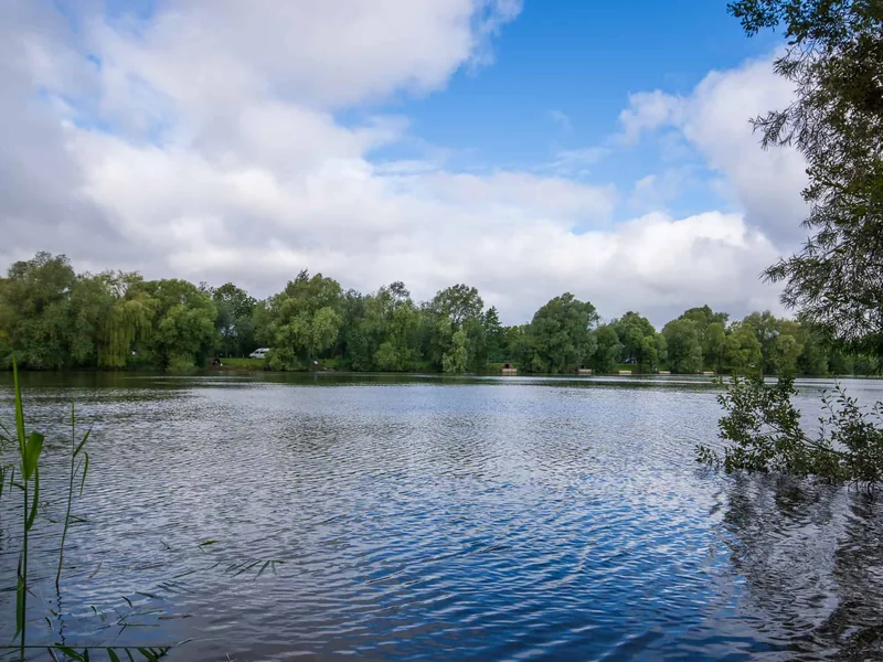 A view of the famous Swan Lake at Bluebell Lakes, home to some of the UK's biggest carp.