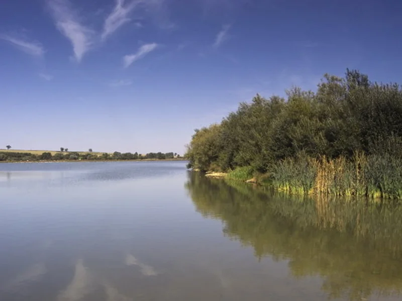 Swan Lake at Stanwick Lakes, a scenic and productive day-ticket carp water.