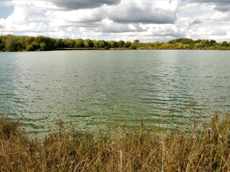 A scenic view of Baulking Lake, a premier specimen carp syndicate in Oxfordshire managed by Embryo Angling.