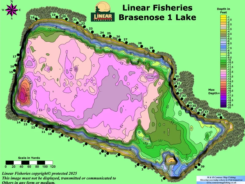 Brasenose One at Linear Fisheries, one of the heavily stocked lakes perfect for anglers looking to put several fish on the bank.