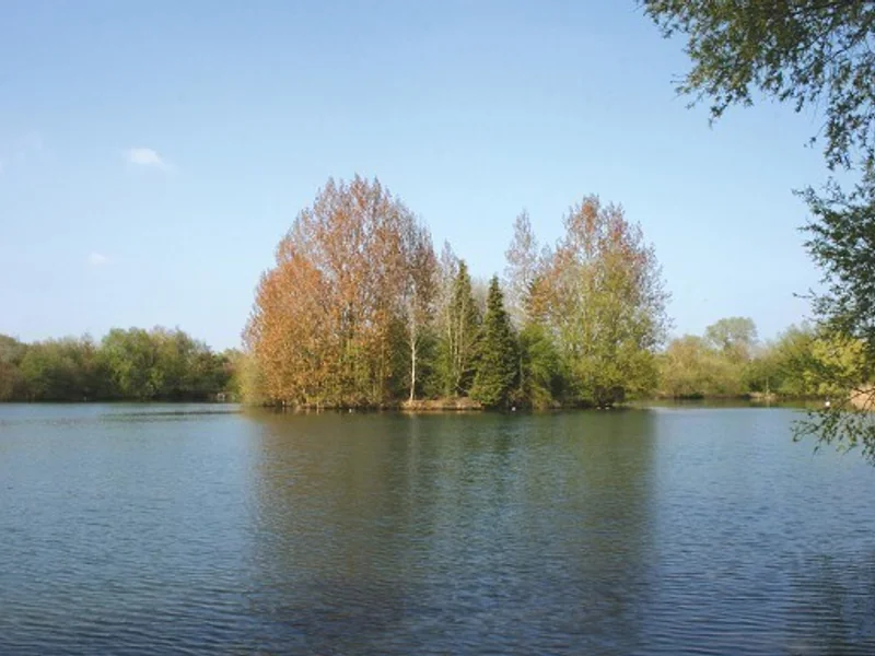 A panoramic view of the gin-clear Willow Lake at Linch Hill Fishery, renowned for its specimen carp.
