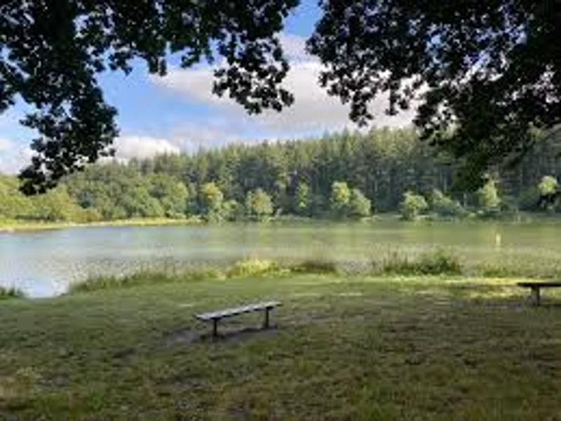 A scenic view of Shearwater Lake in Wiltshire